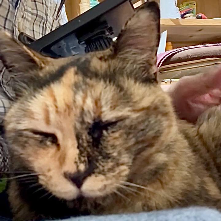 E3844ff7 0a4d 484c bf44 bf5d53d297b8 1749523421865