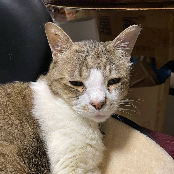 E3847079 37fd 41ee 9509 54594e721f49 1767527026467