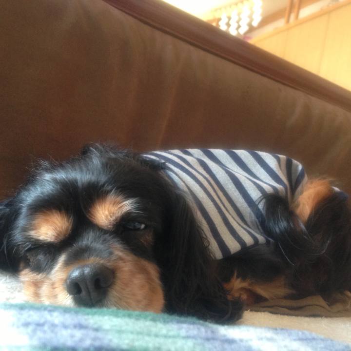 E3847a92 ade1 4015 a556 e739a3c7a36b 1520773702160