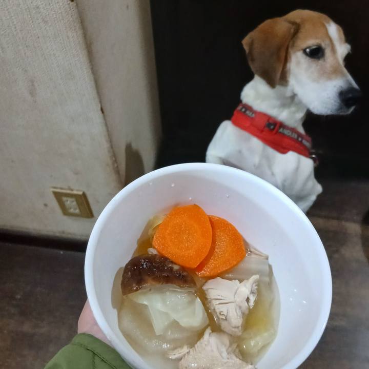 E384a5ad e805 4c82 911a d6e3a84bc524 1763810686327