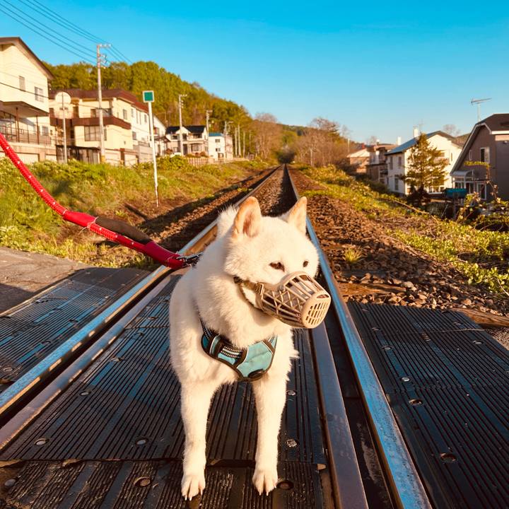 E384a5db aa8d 4d70 9df9 628327dc1dbb 1683665934961