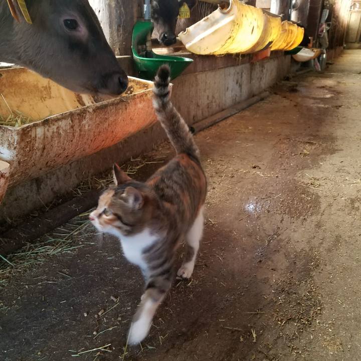 E384f88a 0929 4dd9 81e9 8de29aa0cb1e 1514259644231