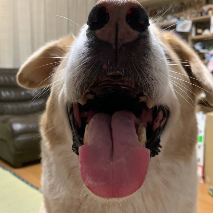 E38519ce 0adb 424f bfa5 b95fd80539ec 1625309270889