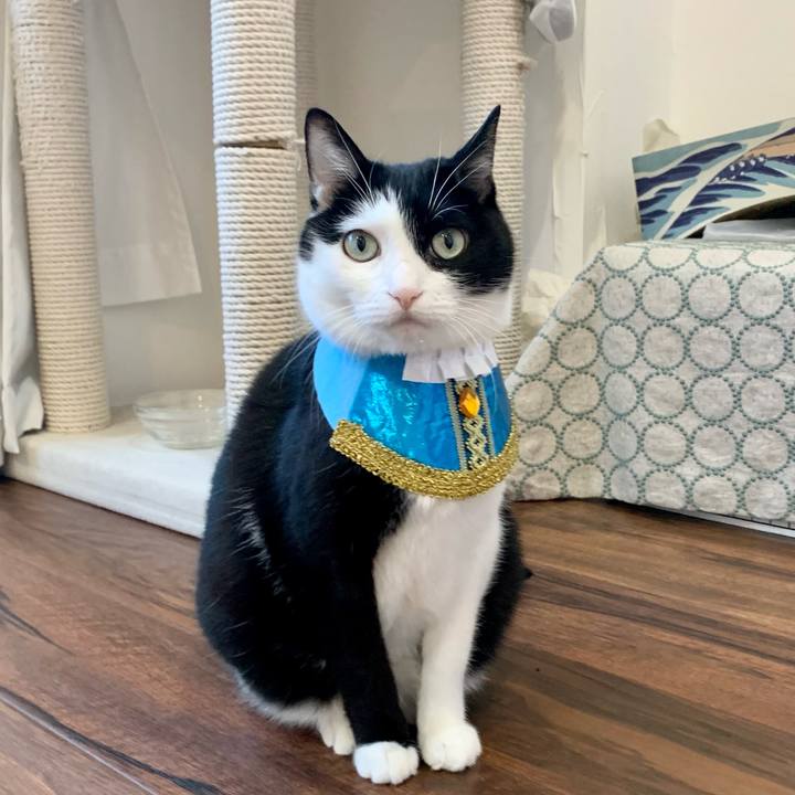 E38522ed 1b0c 41c4 ae0a d0e9fb9a5243 1639523451500