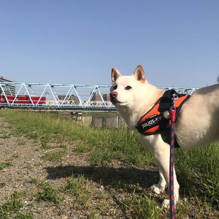 E3853ef2 d432 4ca1 abec 1f543dba46a9 1526341028002