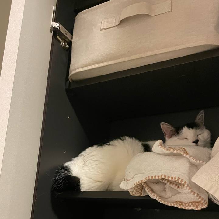 E3855bef 337e 45af bfb0 3d9a32742632 1745755363639