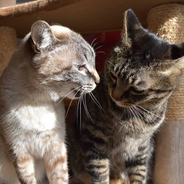 E3856462 8240 433e 9a6b ff633271c2f0 1609668749377