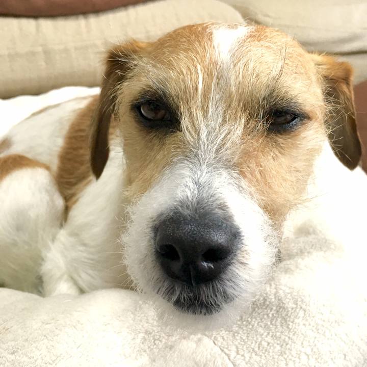 E38565d4 a127 4efe 85bd 0475fdd94336 1547259186339