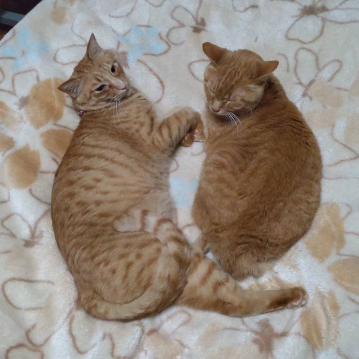 E3856e31 6d8f 40a5 bb99 fb9bb2c7af6a 1715403963056