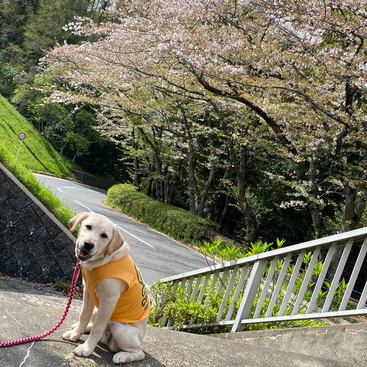 E385759b 8aa4 4203 b0e8 1b1b51649bd0 1617266309538