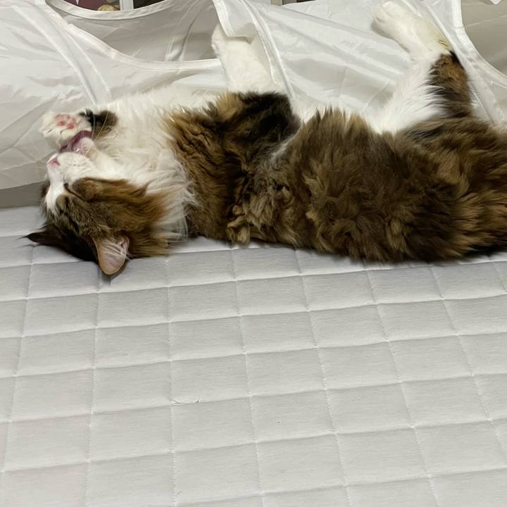 E385ac79 fae1 49a0 ab03 c6654a9532a1 1694980660920