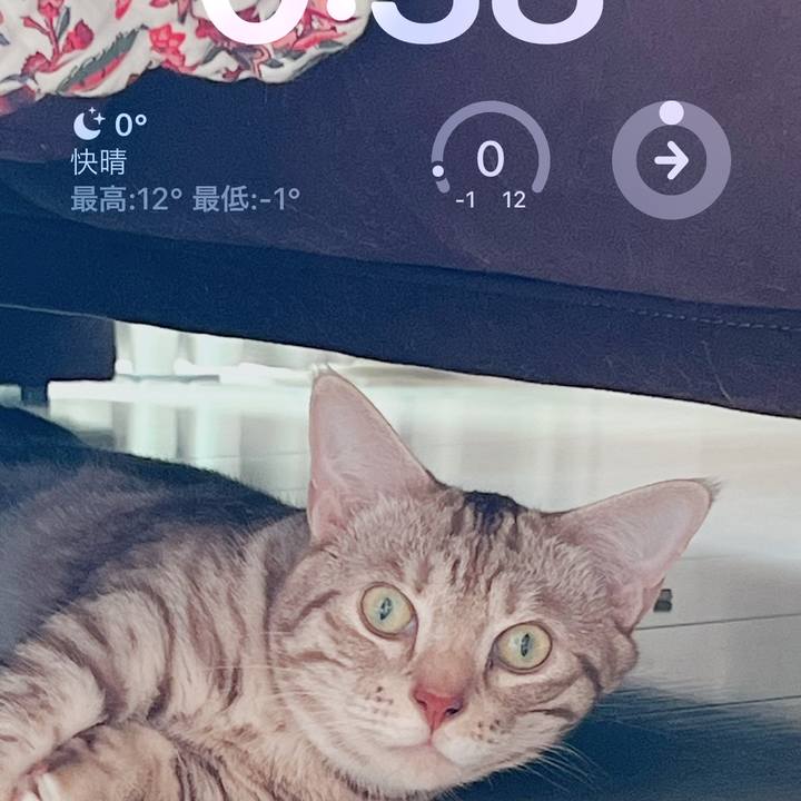 E385b9dc 7e60 46f0 a6c7 17cd02103137 1672529104177