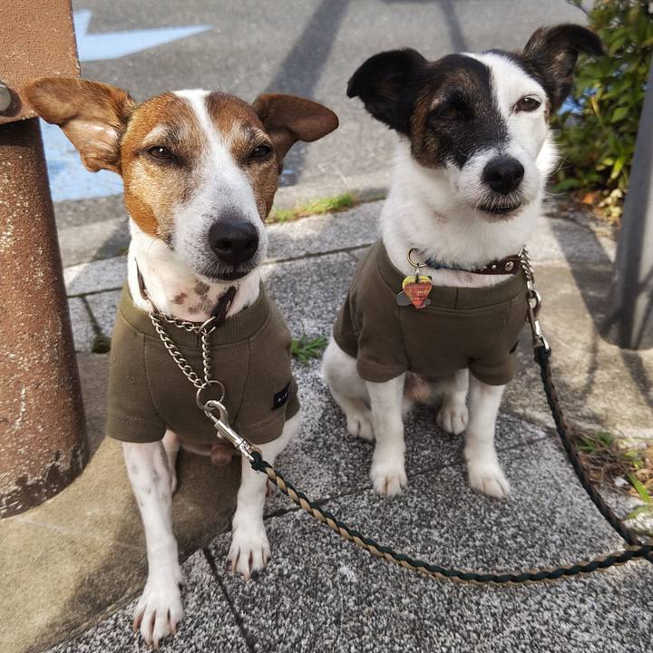 E385c2c5 5da0 4c0a 8d83 a455ae6a3436 1748469193780