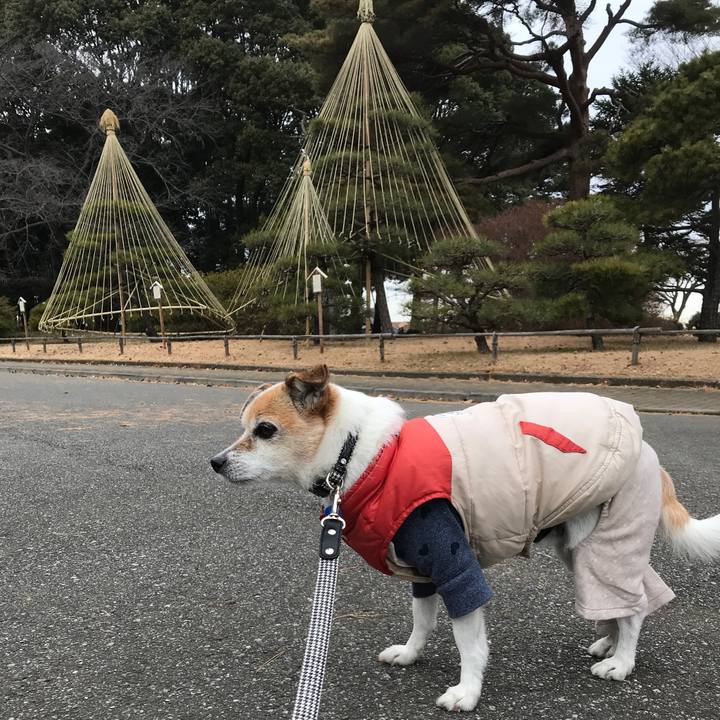 E385ee72 da09 44ad bcde b1273b24749c 1641435345271