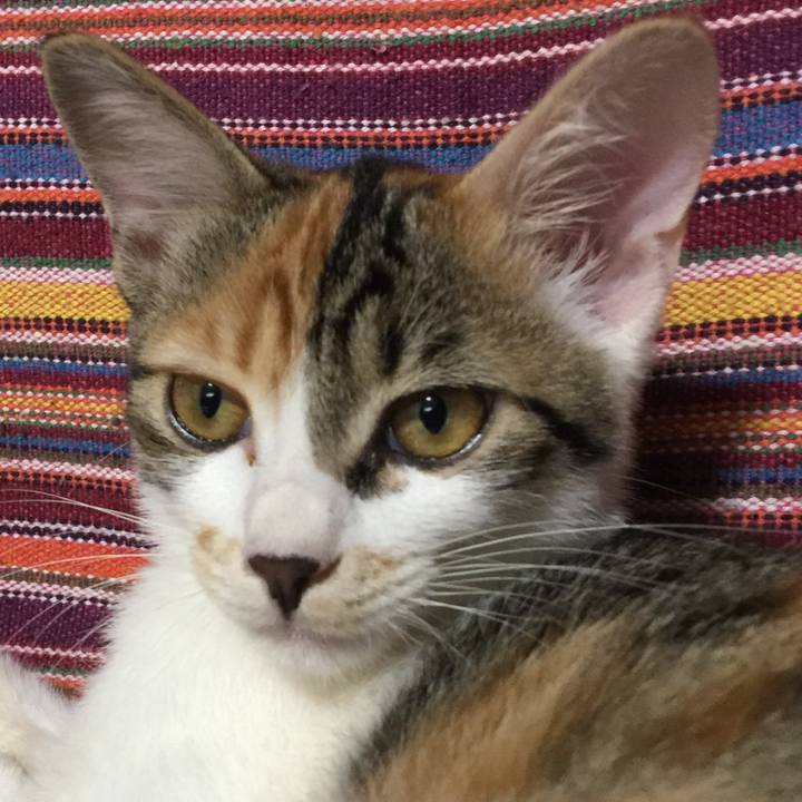 E385fab9 728b 4d35 b658 133b5e8fb89e 1636434778534