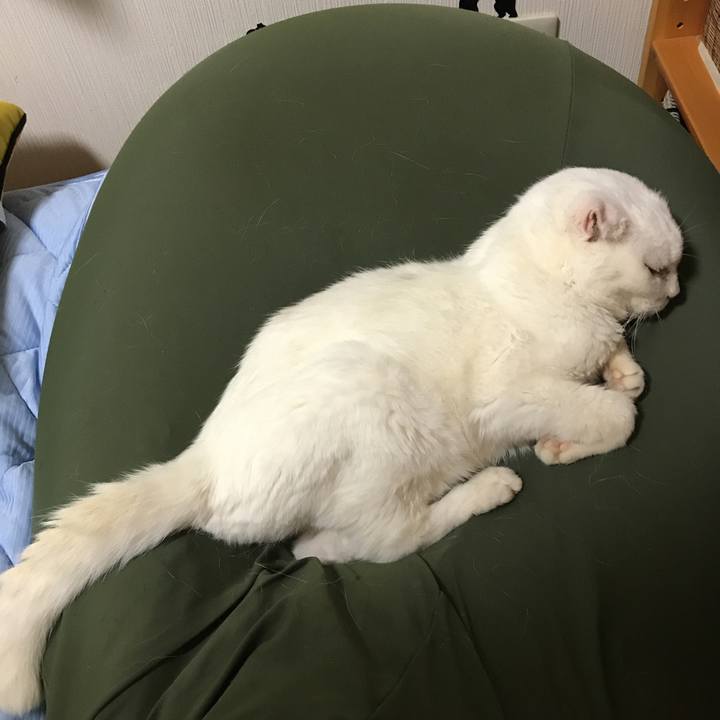 E386060f 6457 4b9b b4fa dee0a8a0f877 1535980896314