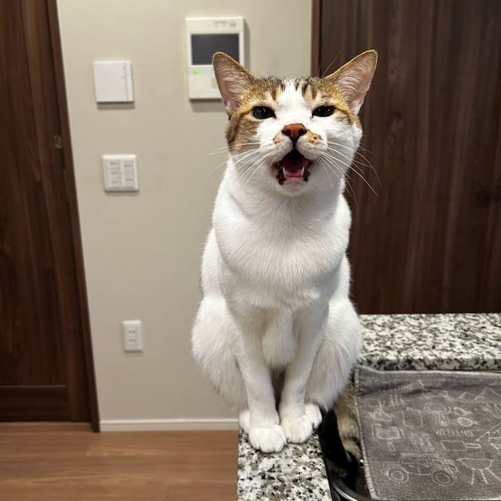 E38648c8 3d0e 44bc 85f1 916b78f497d3 1763120240321