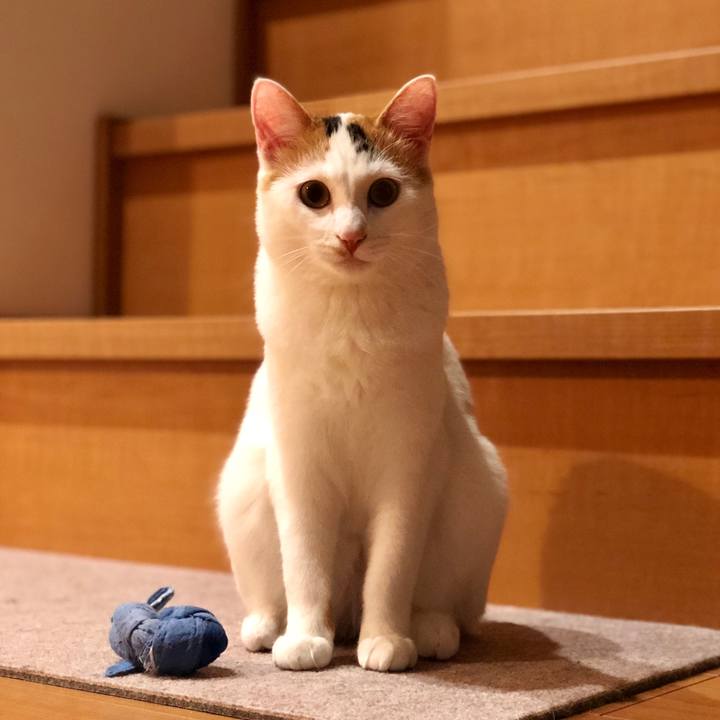 E3864e29 9f5c 43f1 9bc8 f677ed84dc92 1555588055770