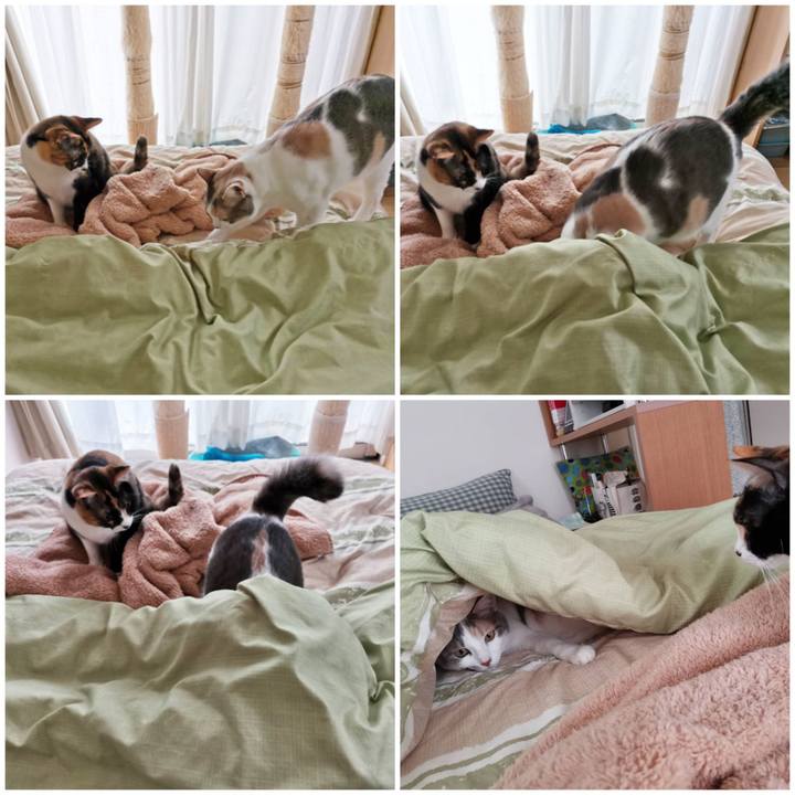 E3865163 3877 48ef aff1 839bef56f60b 1618374066339