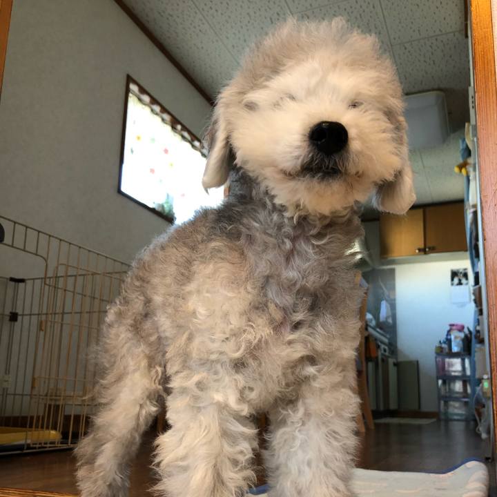 E3867933 9429 424a 806a a7724d237783 1612324345707