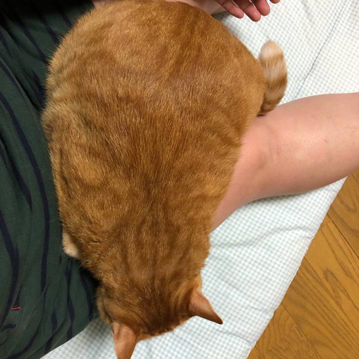 E38710dc 862d 4ffe 937b ac667e0c0907 1569232608340