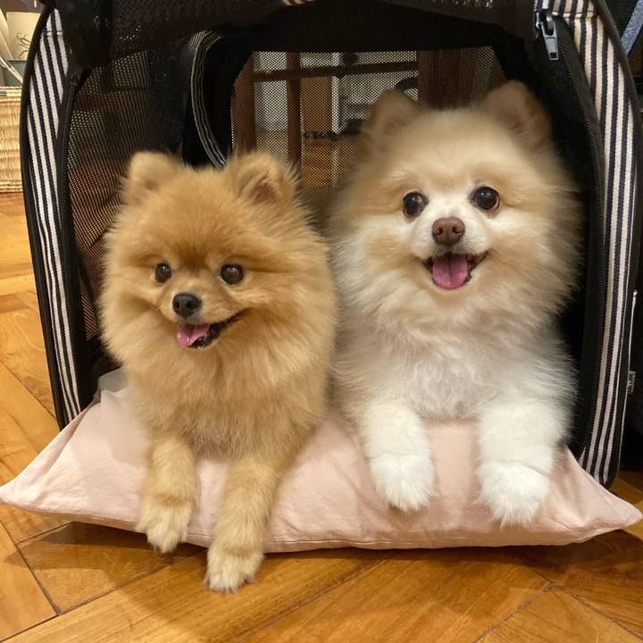 E38719b2 d2fe 4bed 925d 675c60dfb427 1725451757008