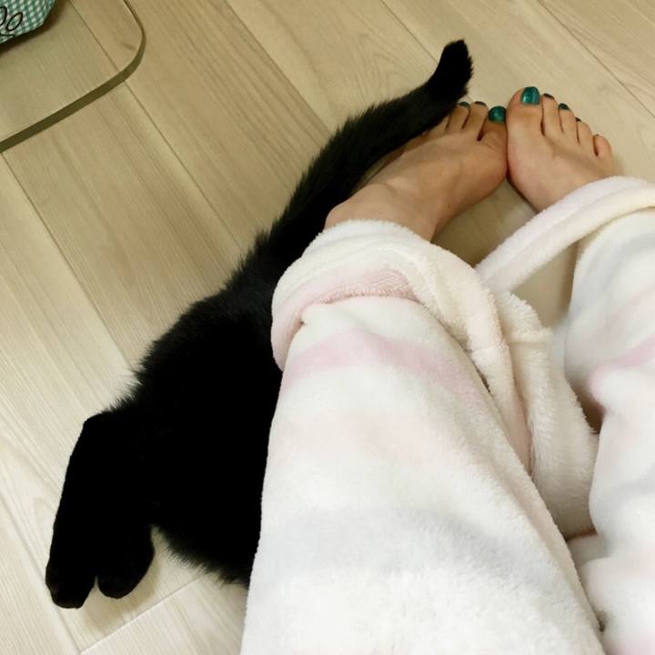 E3872afa 987f 4bea b0a7 a30949f87d19 1515302515043