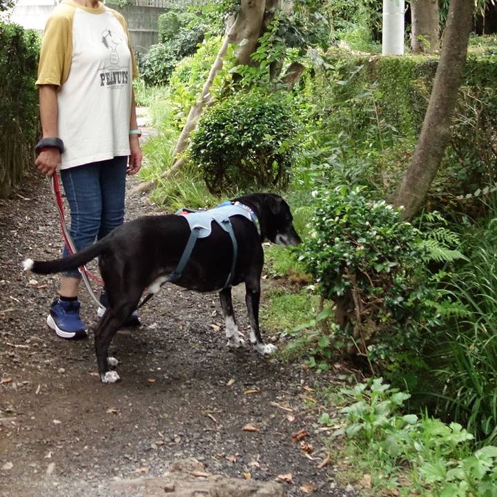 E3875aa7 3e1a 4e8a 83d0 b3aa2c6fac64 1727402095902