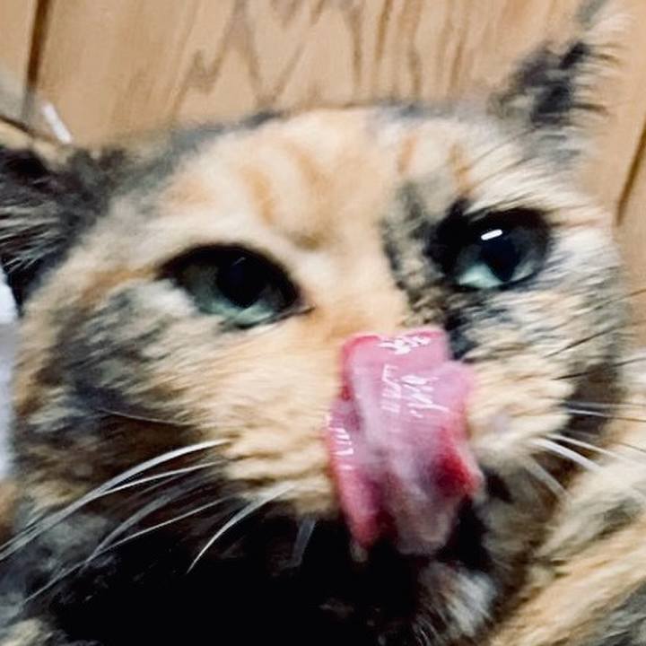 E387af59 1b68 468b a1ab b7cd60ea8c22 1729368775226