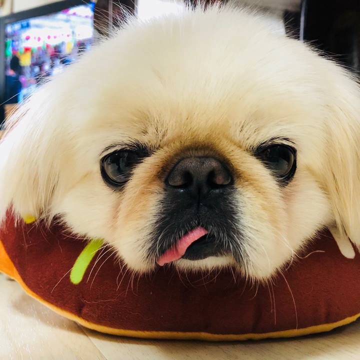 E387c31a c1a5 4214 940c d882a3ac3431 1596000474136