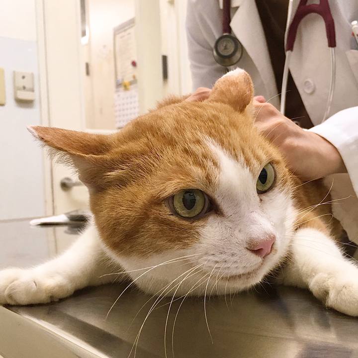 E387fa0f f45f 4a5a a960 e2a62182e9c1 1572242527367