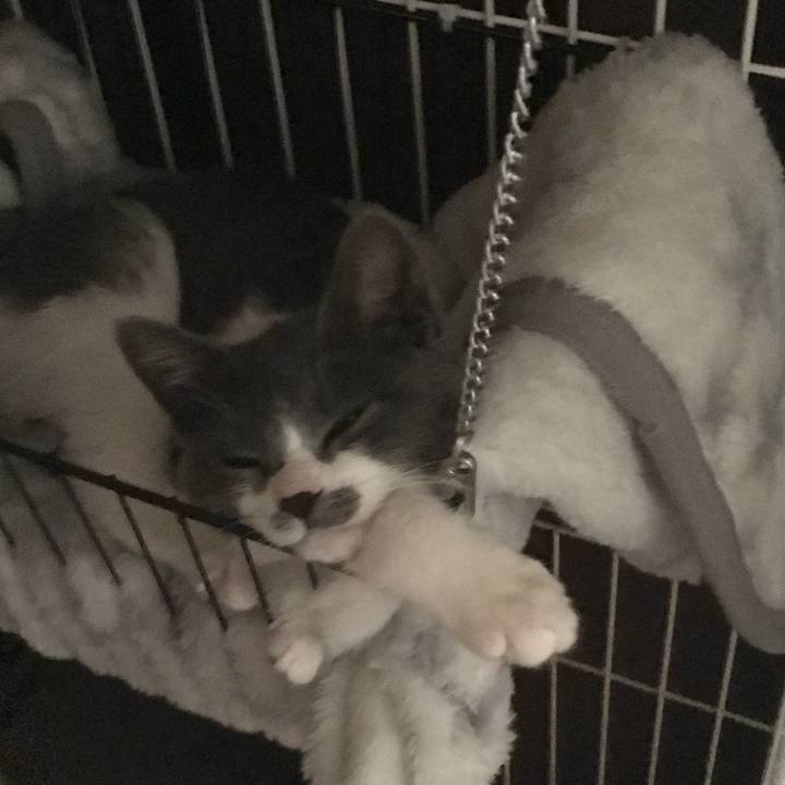 E3880a22 b77e 4737 97fd ee71b6f95d04 1668955696280