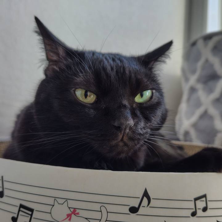 E3880fbf 504d 4988 800a e2e50ed8077e 1727737686231