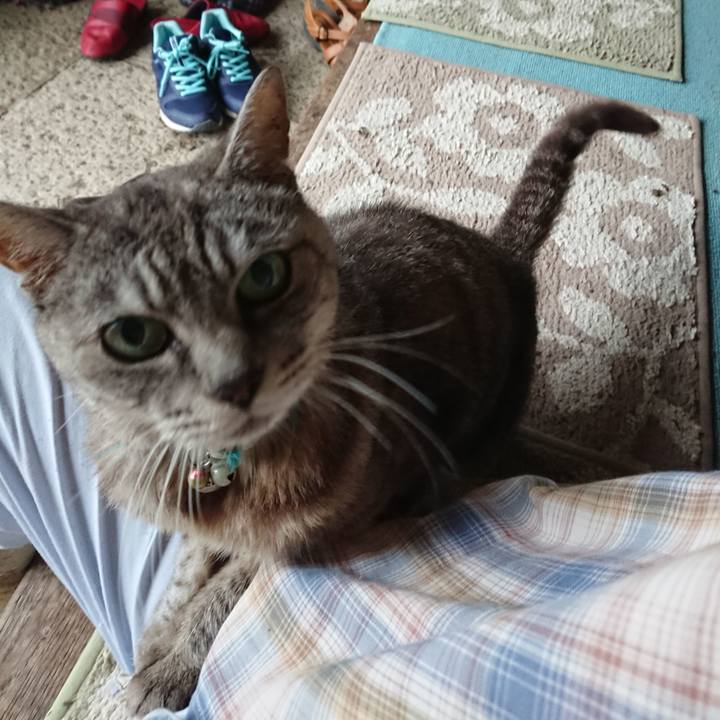 E3881262 cac1 484e b9f1 63bbaa39d907 1568582996196