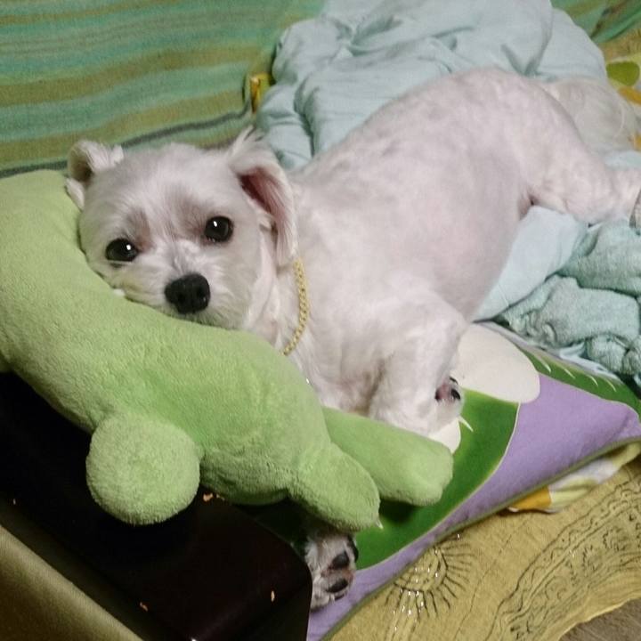 E3882bcd d1d7 4c3e 9aa8 1a182c8be9d0 1527585929935