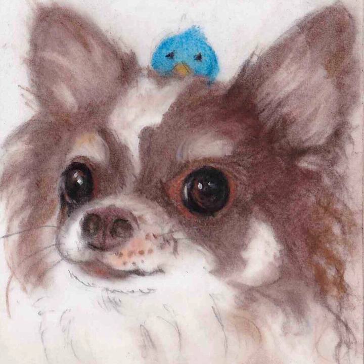 E3882e50 0130 4c1b 87f0 9dca72095454 1654779952388