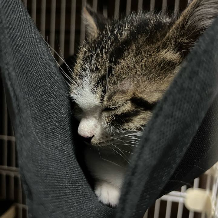 E388654e 7a2e 457f a38a 299feb16d024 1765094712264