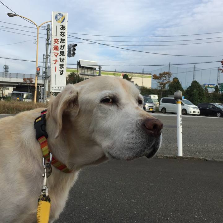 E3886ae2 971b 4ec3 8ee4 bd6b55c75ecc 1562046527229