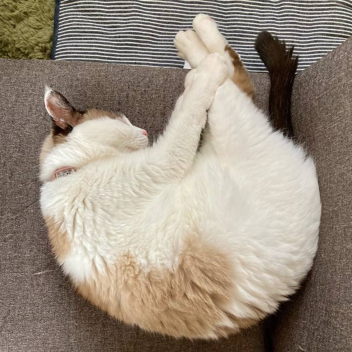 E3888c8b 384e 4e59 a3dc 26c6ff7034cd 1663383569026