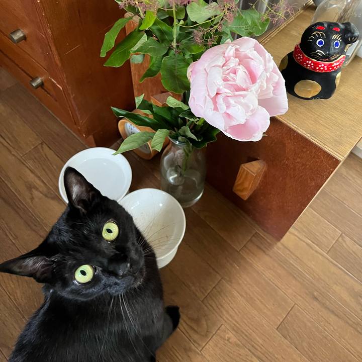 E388b86b d85d 4289 b8e5 07bfec10303f 1717197430871