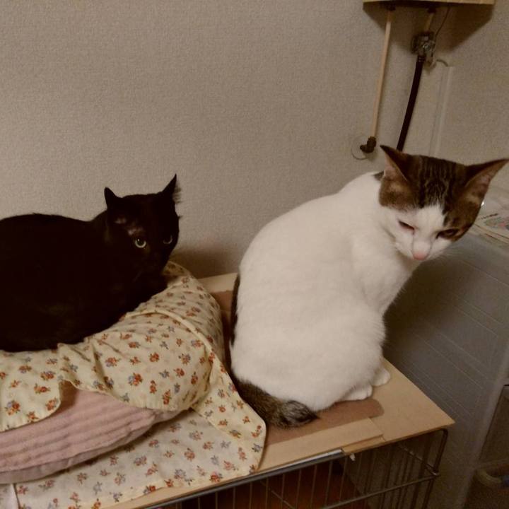 E388c4d1 ccc0 4b84 9adc a4104353add8 1669461916283