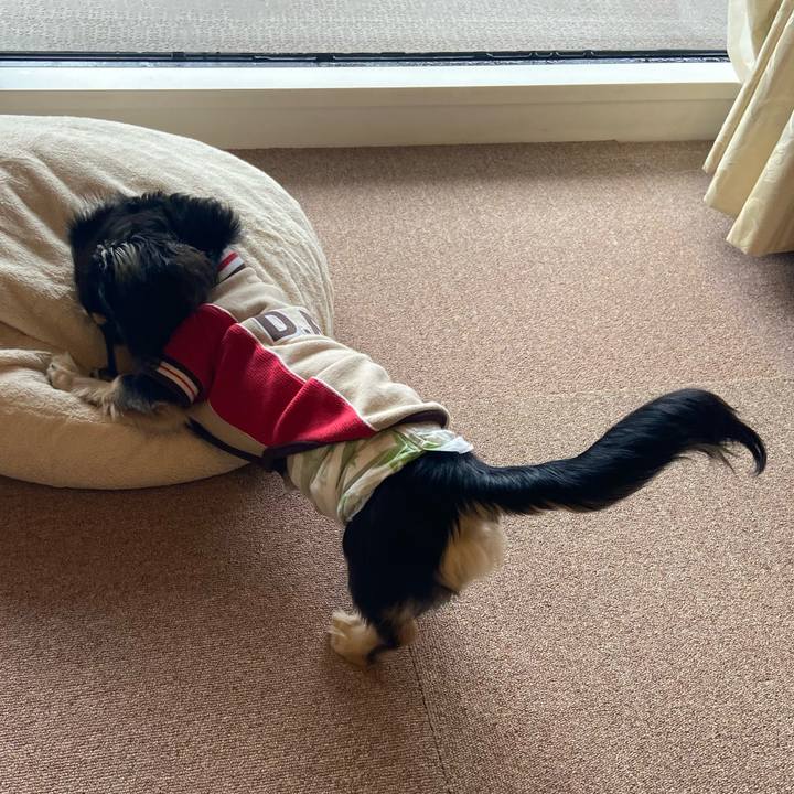 E388d3f1 293e 4722 aef5 7d023e9a8c20 1676417375438