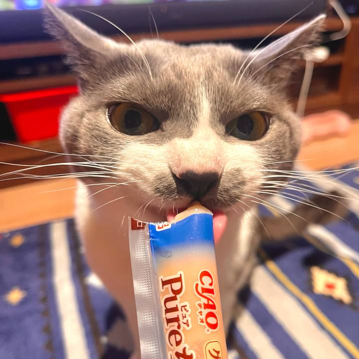 E3893a89 45ff 4571 b077 5cda7d72645f 1666944873677