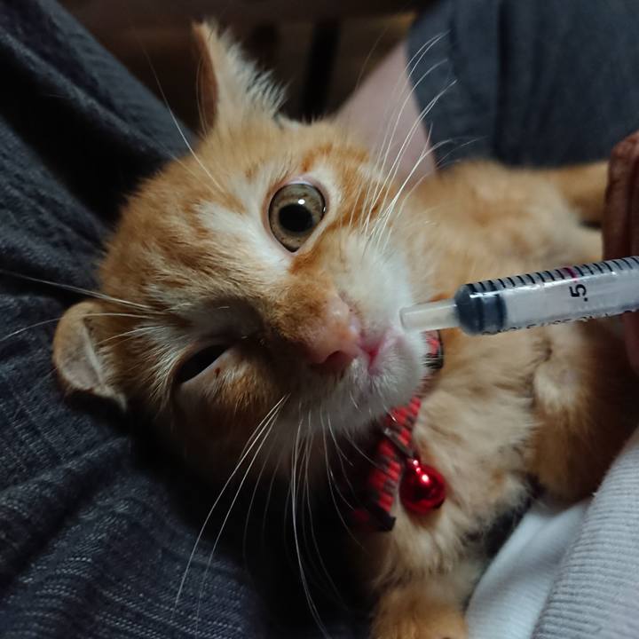 E3894574 e46d 441f 95b7 15f5e783e4bd 1628420658711