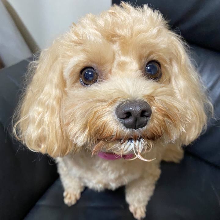 E3896fa7 7c51 433a 85df 9576a1ed9303 1663077566077