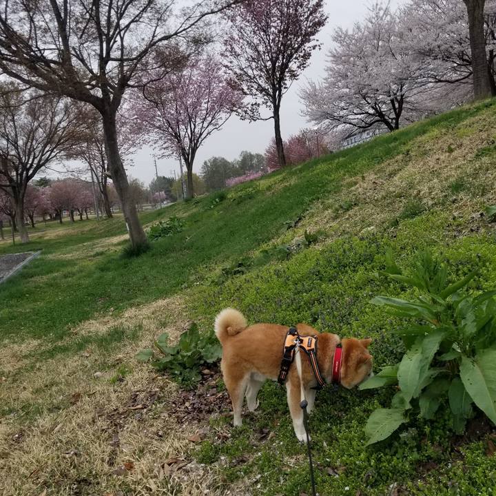 E3897af2 0d43 449c 80ca ff8fc2d3395c 1713428094025