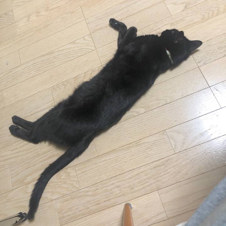 E389877a a3fd 431e a999 4edb26113312 1587469771279