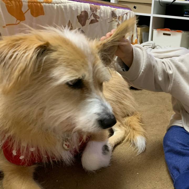 E389e0bb 8e45 4597 bbb7 66024d1503cf 1609573835399