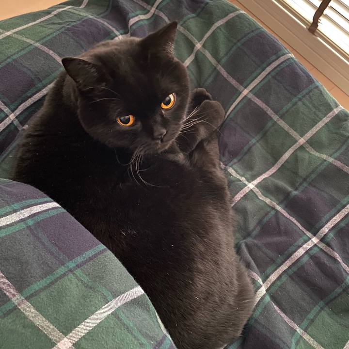 E389e5fa ef87 4e77 bbde fd7aeeb90dd8 1608076019735