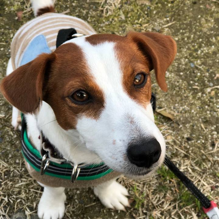 E389f239 dfa1 4704 b867 8d3cb8a0955d 1551600522504